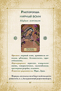 Оракул. Магия звезд и растений. Таро, гадания и знаки (55 карт и руководство)